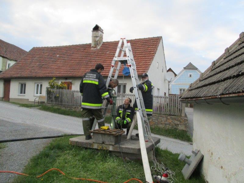 einsatz brunnen auspumpen 19.04.2016 001